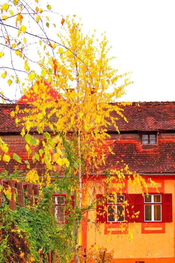 Citadel Park Apartment Sighișoara Zewnętrze zdjęcie