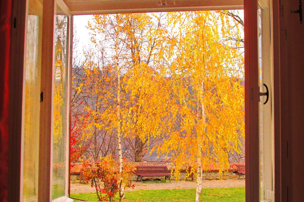 Citadel Park Apartment Sighișoara Zewnętrze zdjęcie