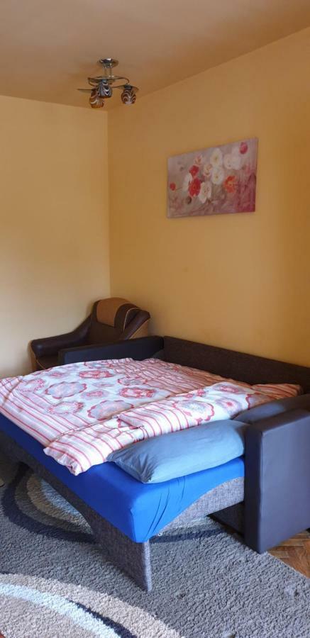 Citadel Park Apartment Sighișoara Zewnętrze zdjęcie